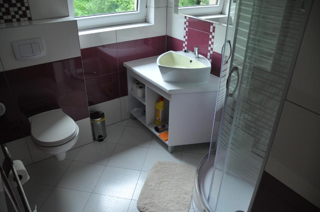 Willa Stenia Center Apartamenty Wisła Kamer foto