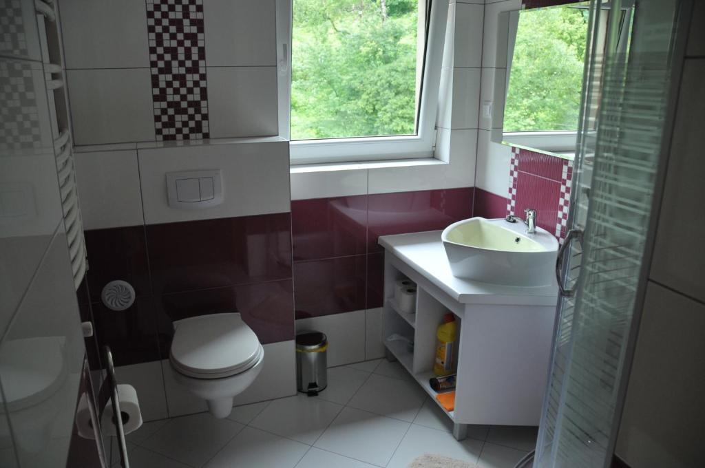 Willa Stenia Center Apartamenty Wisła Kamer foto